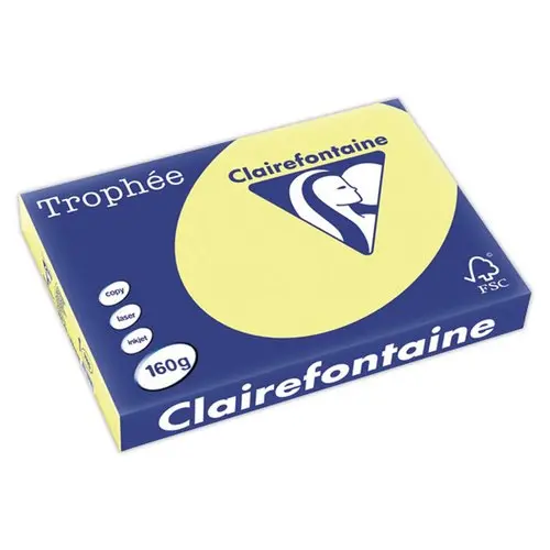 Carton de 4 Ramettes de 250 flles papier jonquilleCLAIREFONTAINE Trophée A3 160g photo du produit