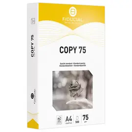 Paquet de 250 feuilles de papier blanc 135g spécifique pour impression  laser de format A4 DCP