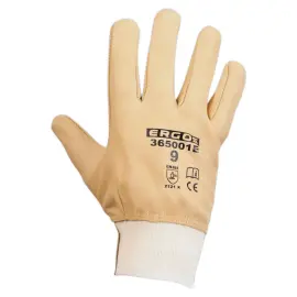 12 Gants de manutention ERGOS 365001E - Protège-artères - Taille 10 - RG photo du produit