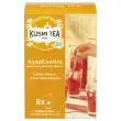 Boîte de 6 grands sachets d'infusion AquaExotica bio photo du produit