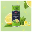 Canette 33 cl SAN PELLEGRINO Limone e Menta photo du produit