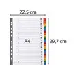Intercalaires Imprimés alphabétiques carte blanche 160g - 20 positions - A4 - Blanc - EXACOMPTA photo du produit