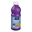 Flacon 500ml glossy violet photo du produit