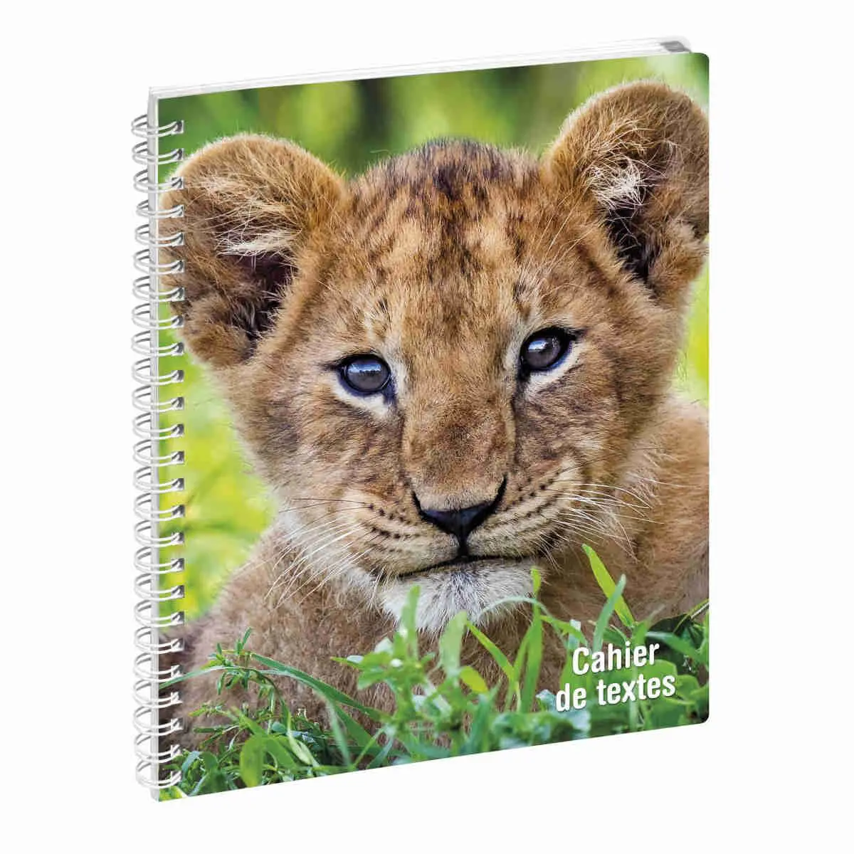 Cahier de textes Animaux spirale photo du produit