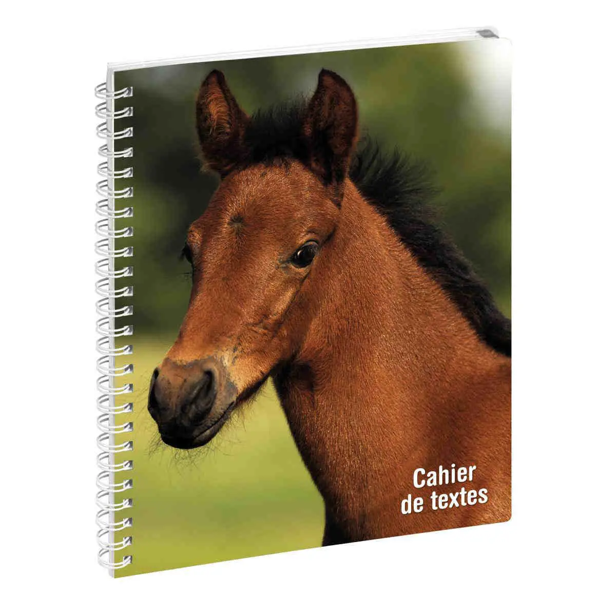 Cahier de textes Animaux spirale photo du produit