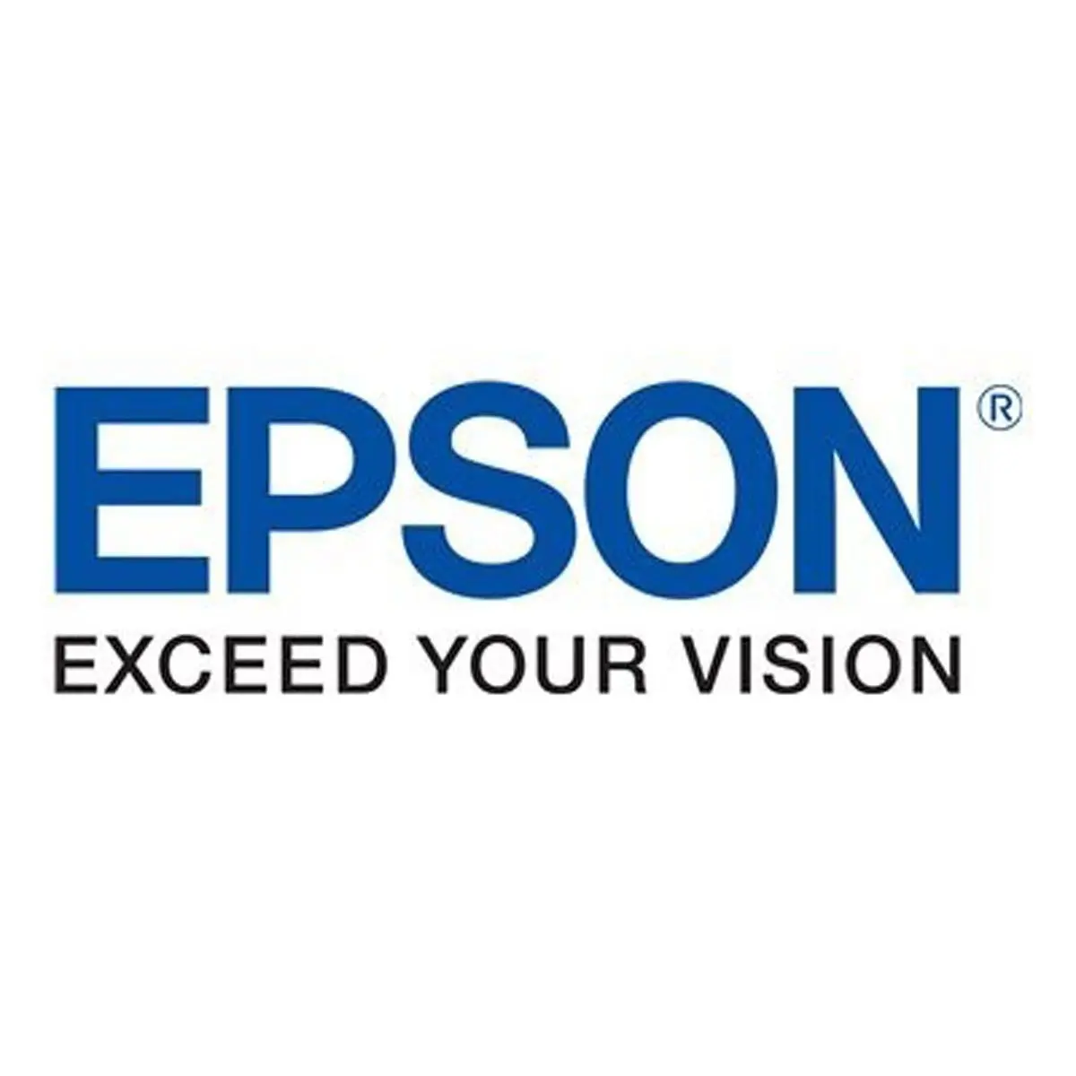 EPSON Ink Cleaning Cartridge T642000 photo du produit